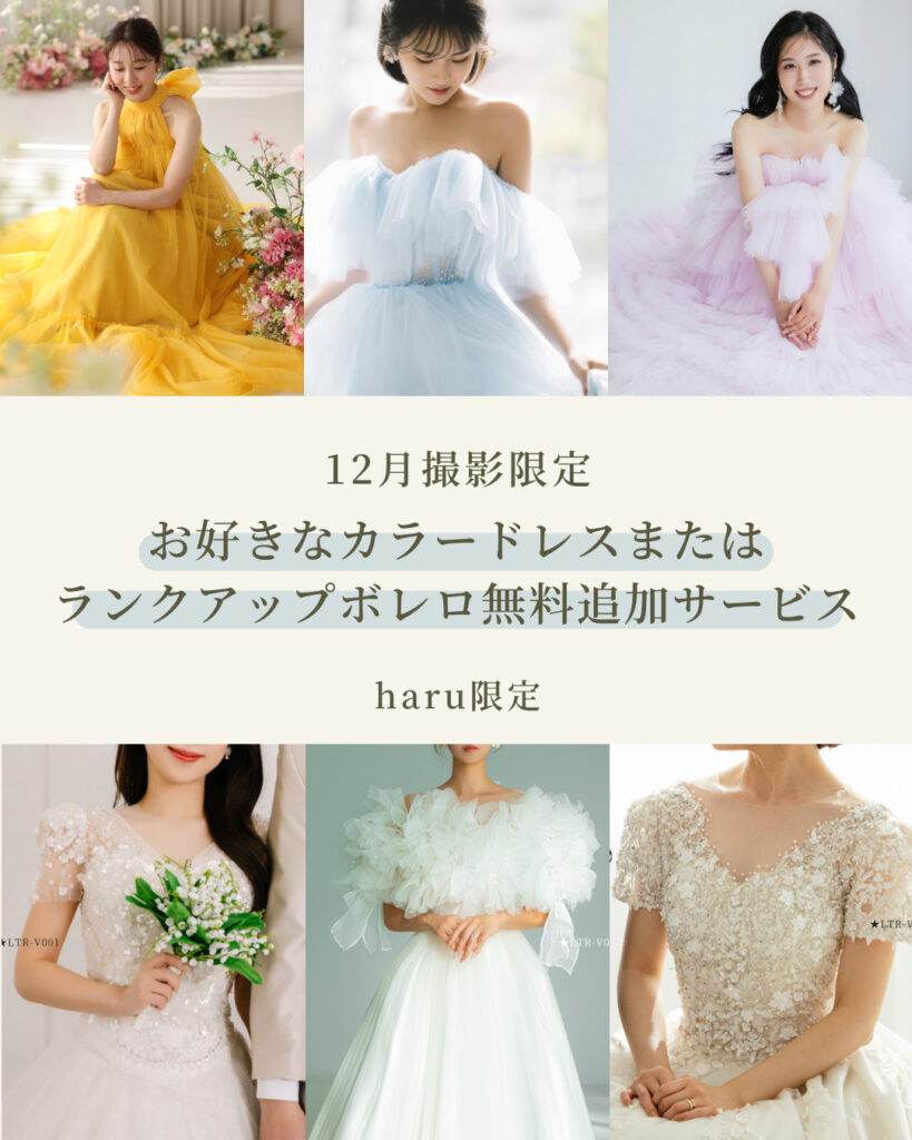 haru | 12月撮影限定 | カラードレスまたはランクアップボレロ1着