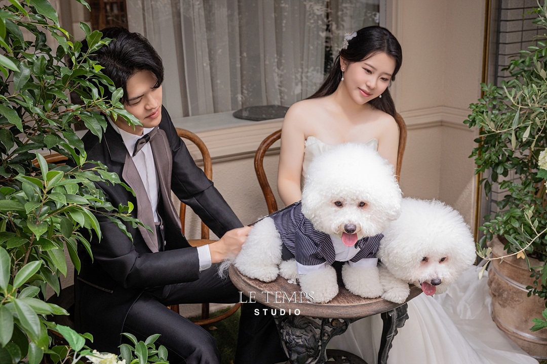 HARU | 岐阜花嫁様 | 愛犬と一緒に叶える韓国フォトウエディング♡