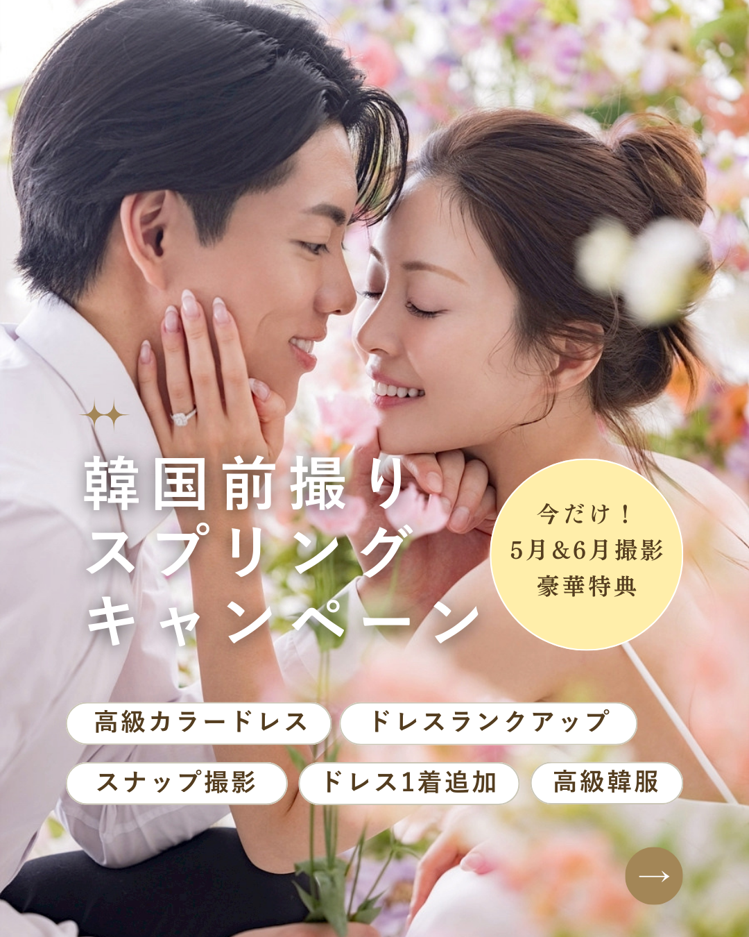 【4月限定】韓国前撮り | Spring Campaign のご案内